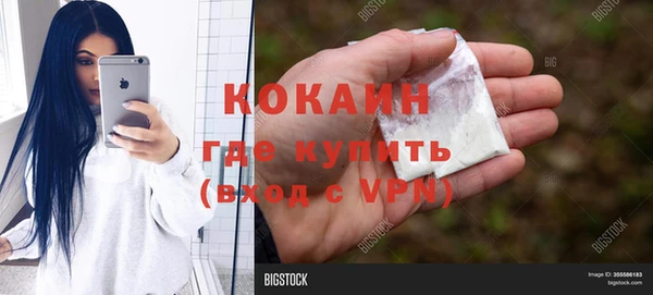молекула духа Алексеевка
